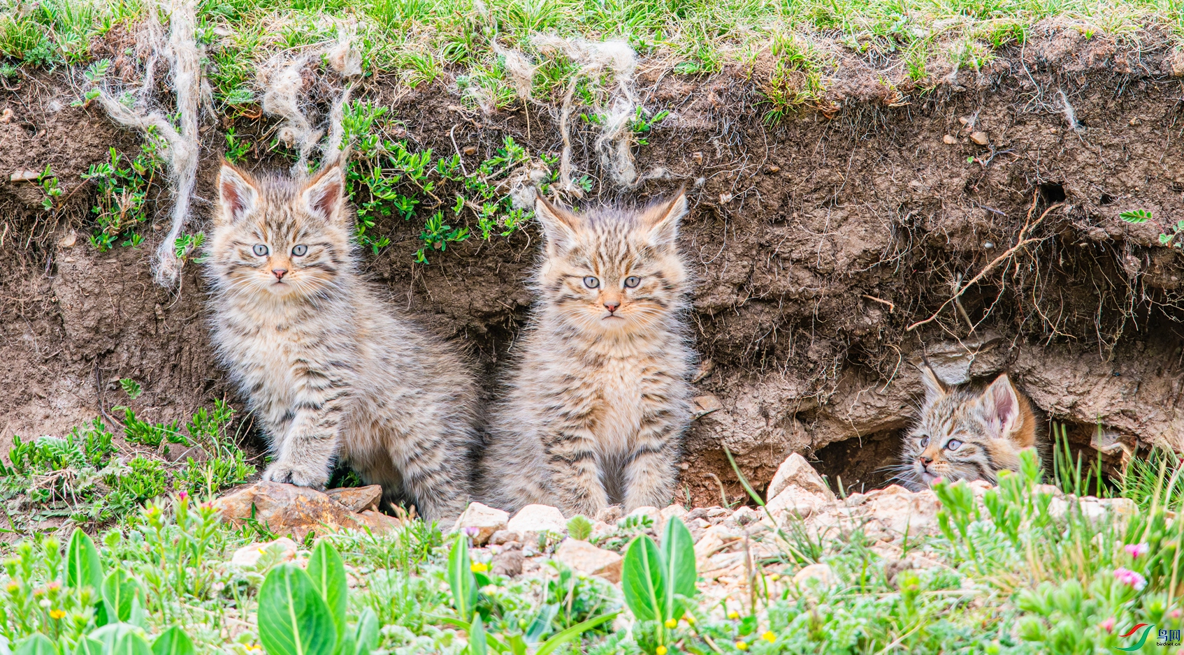 _DSC1461 ����_����.jpg