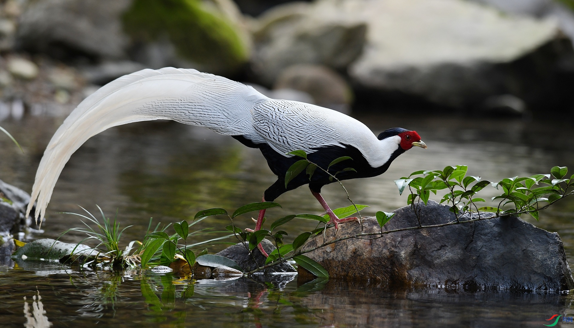 DSC_7920.jpg