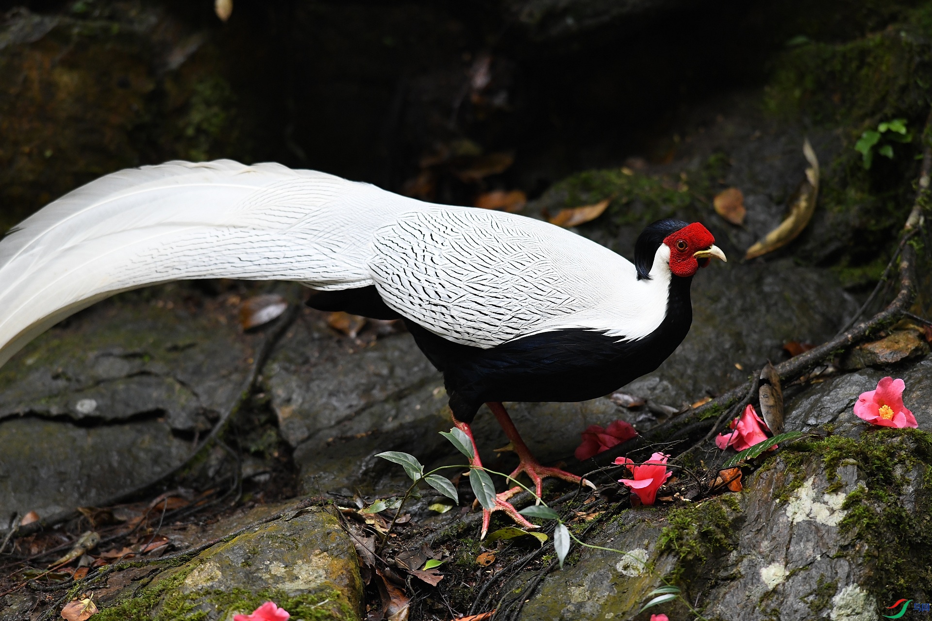 DSC_8136.jpg
