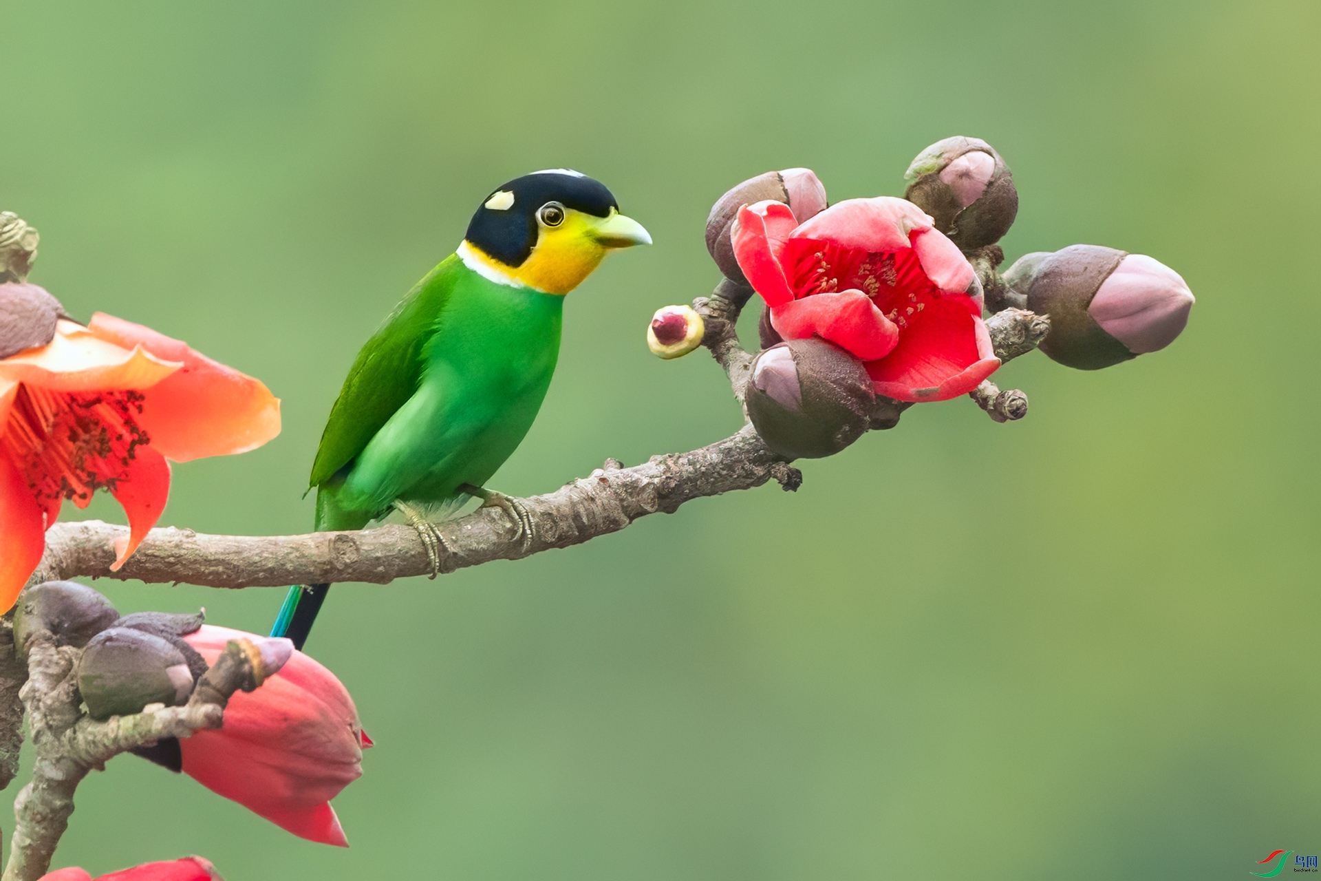 B86I3862 _����.jpg