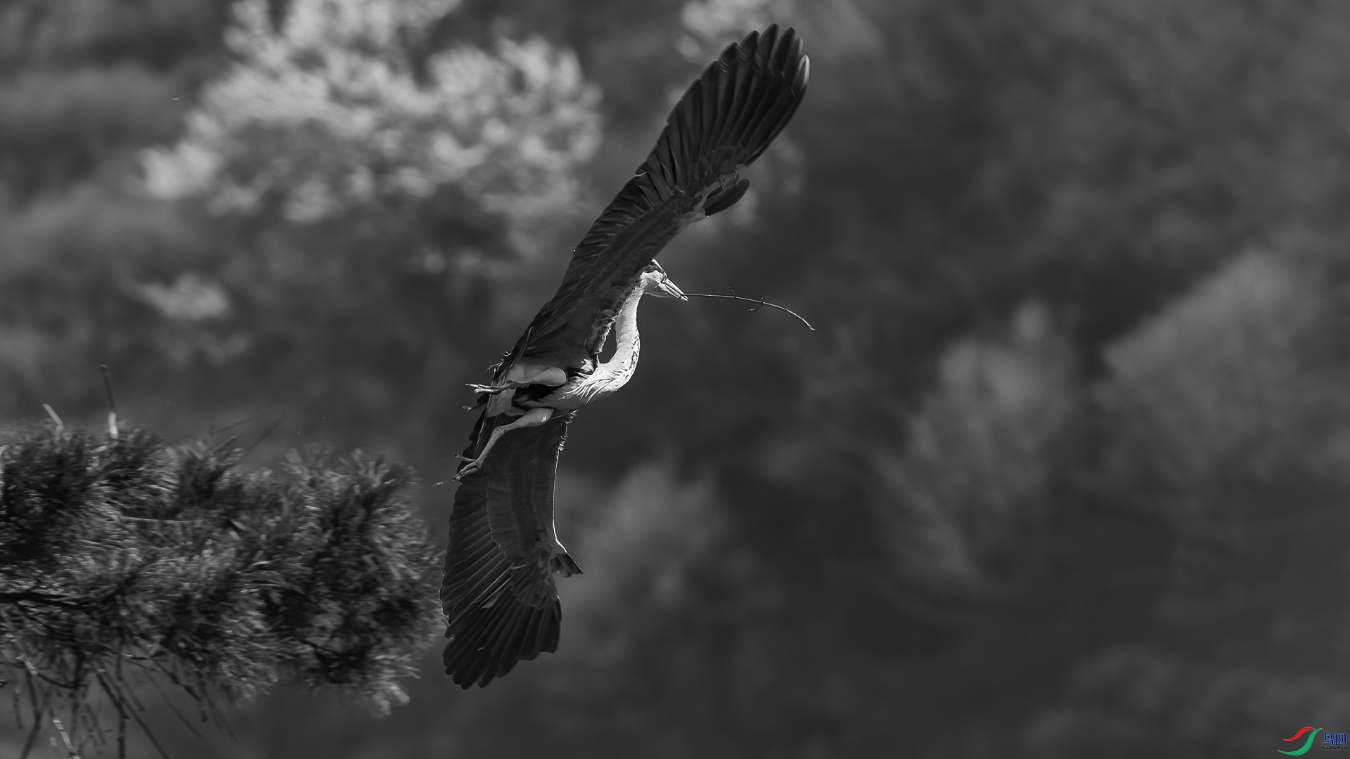 DSC_6073-1-2026319�� .jpg