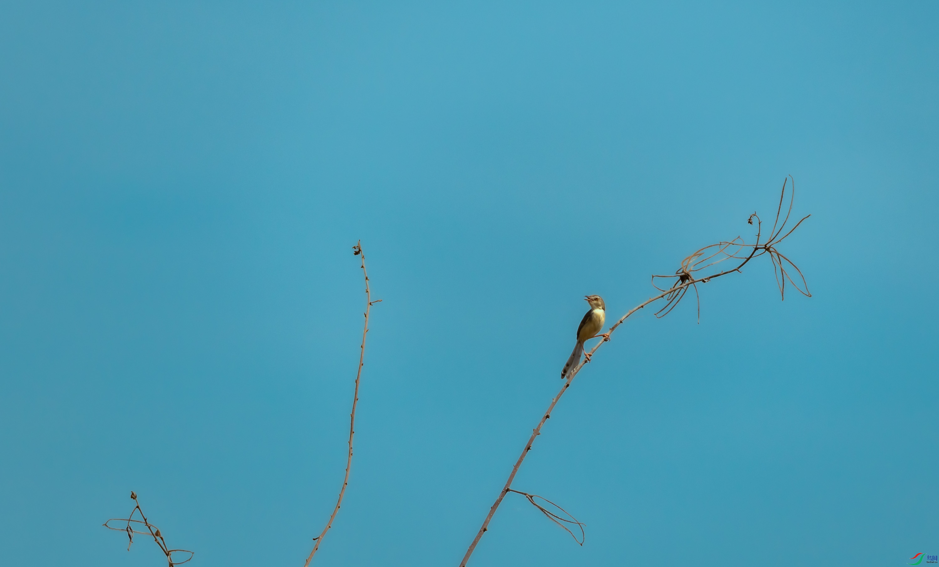 0I3A7812.jpg
