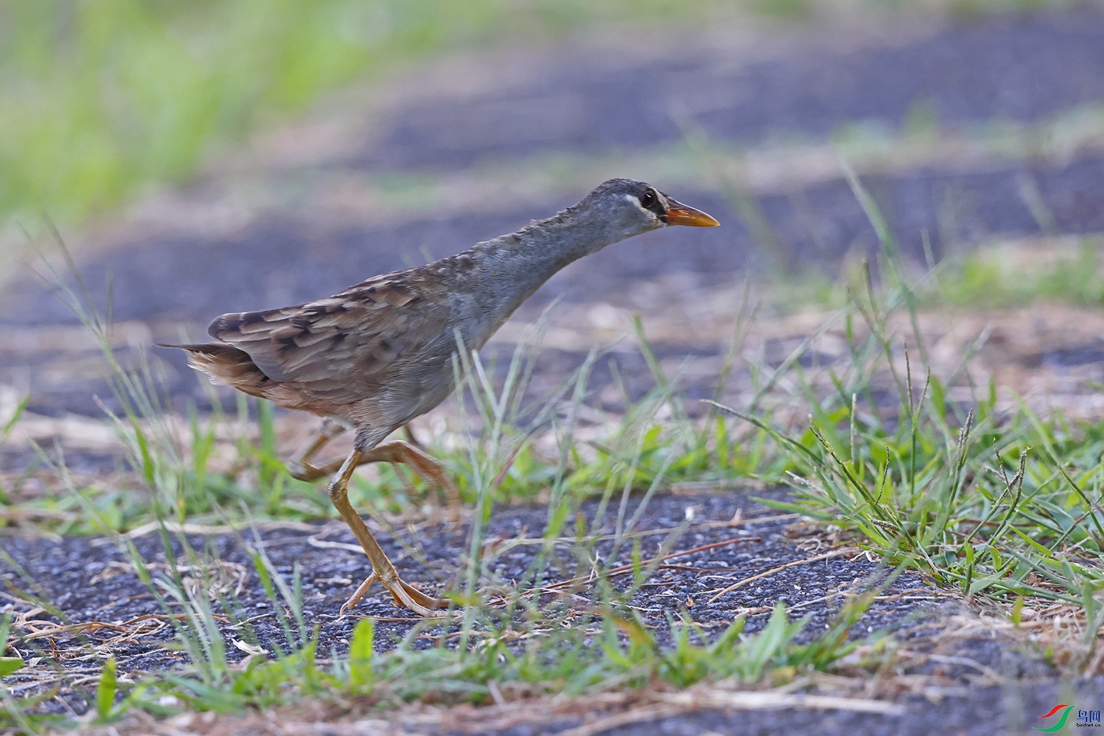 4K8A0958ab.jpg