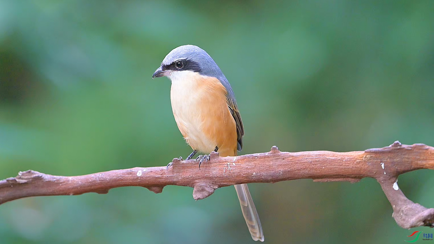 {9885DDE4-97BF-4361-848F-7561EE5B3F1D} ����.jpg