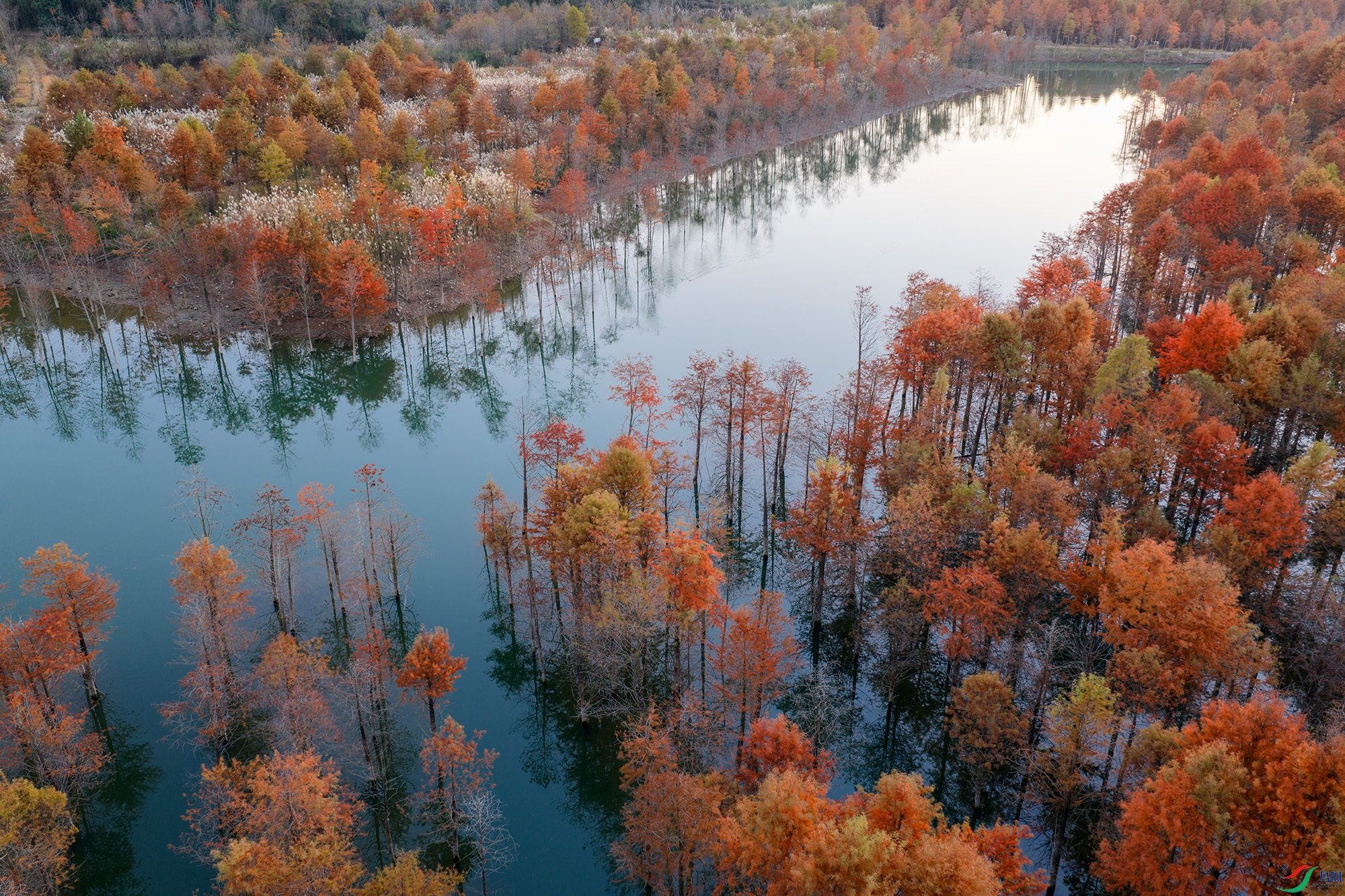 DJI_20251126170246_0307_D ����.jpg