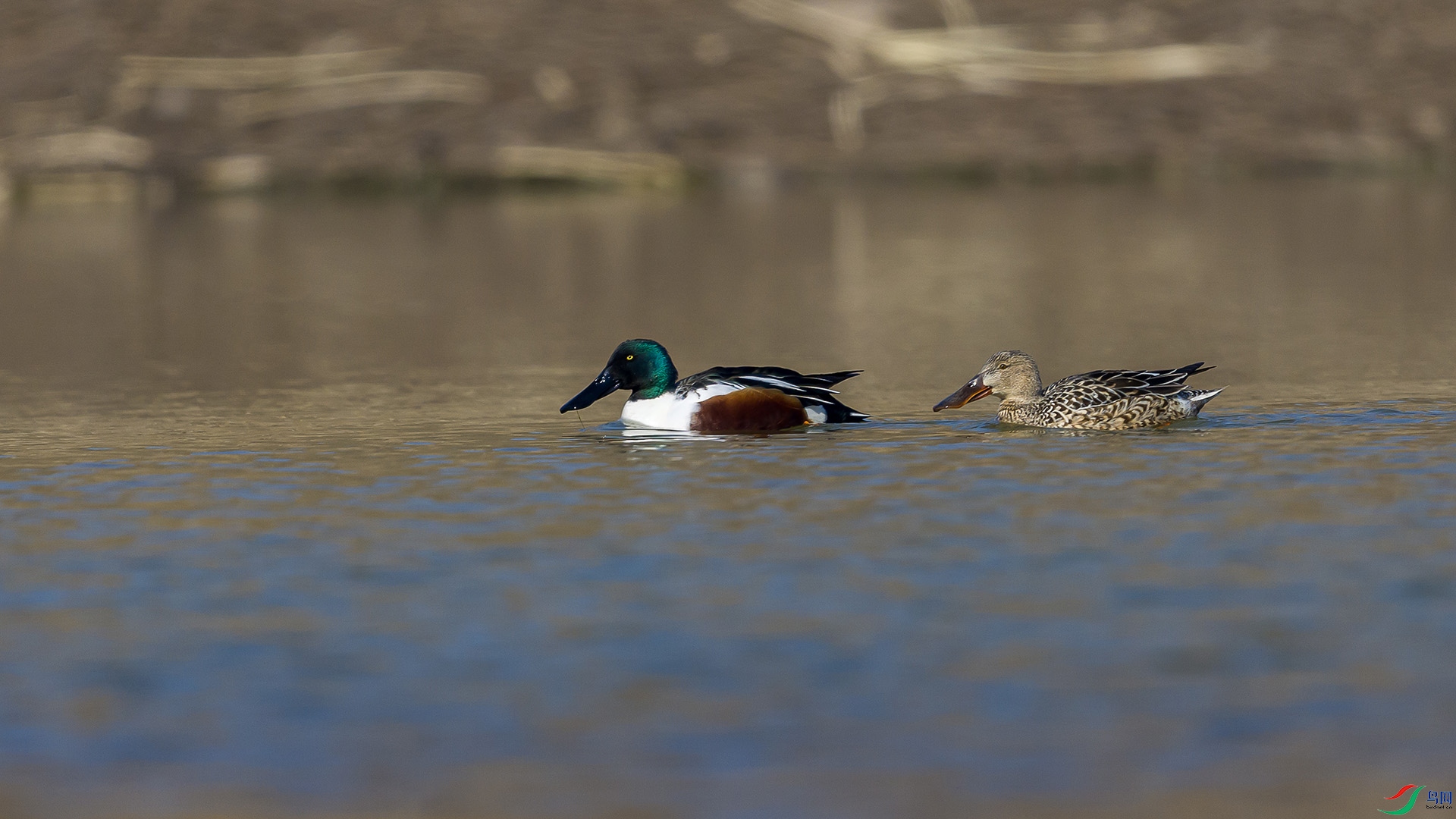 2051A9303 ����n.jpg