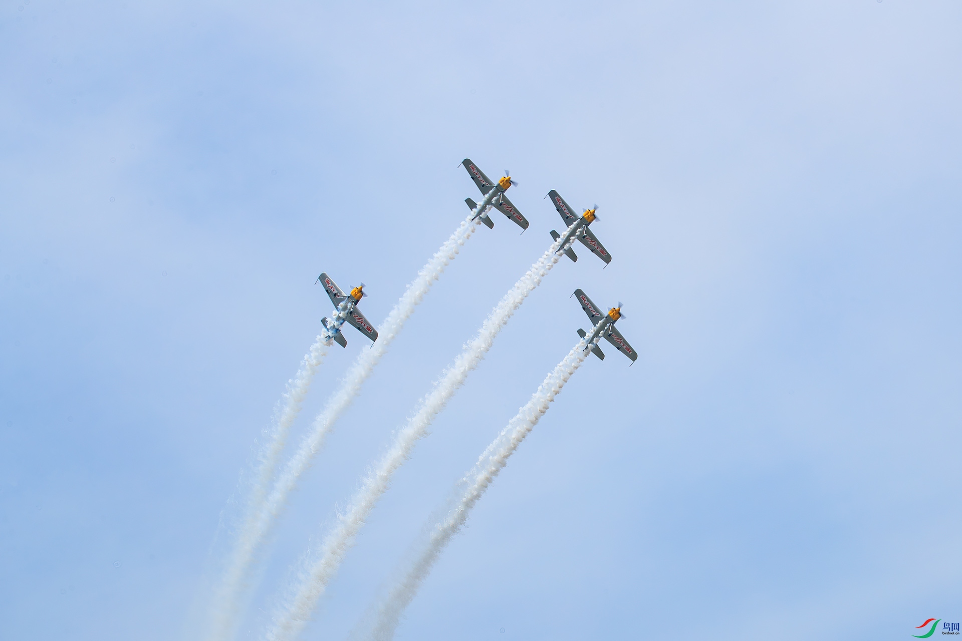1DX_8305.jpg