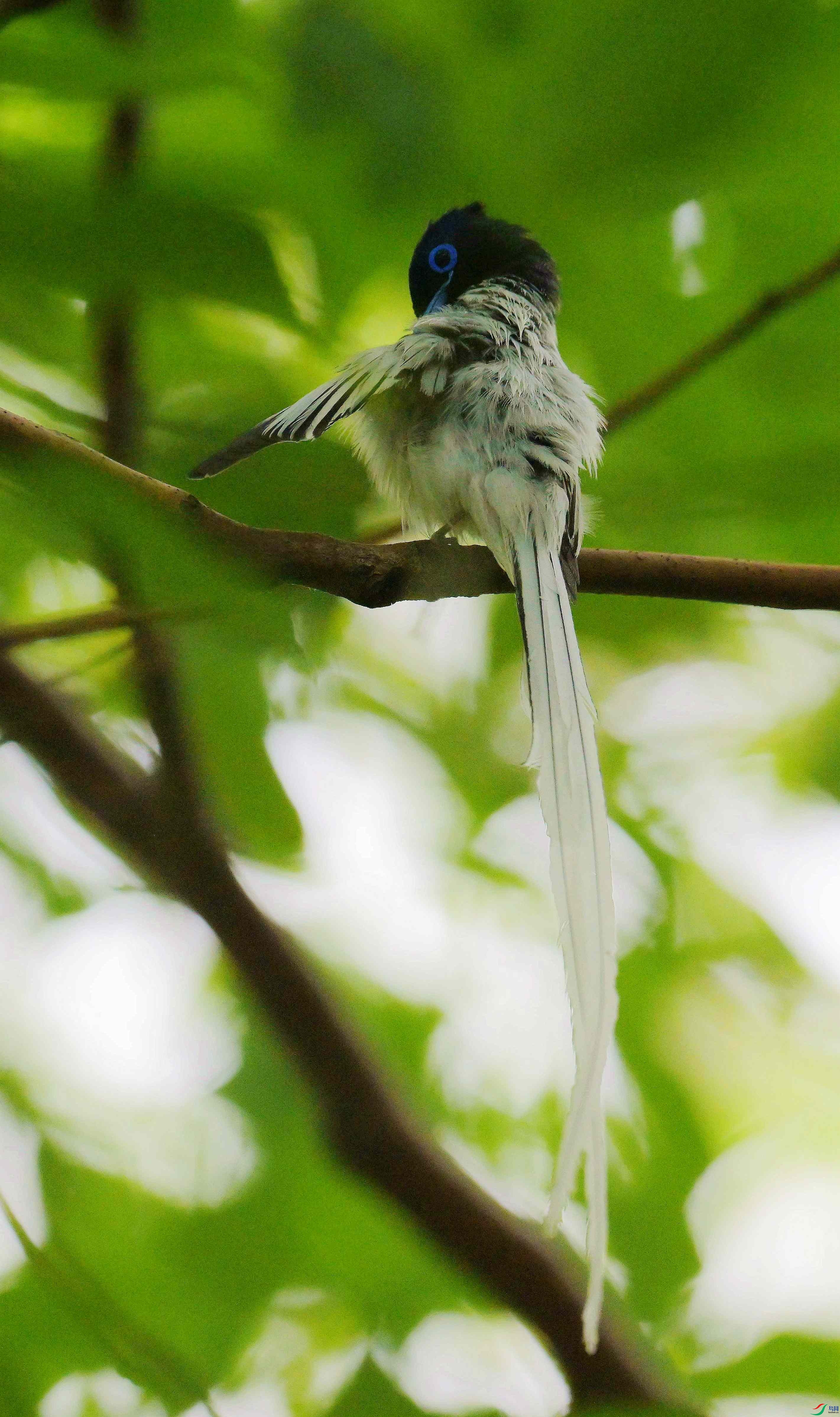 DSC_1012.jpg