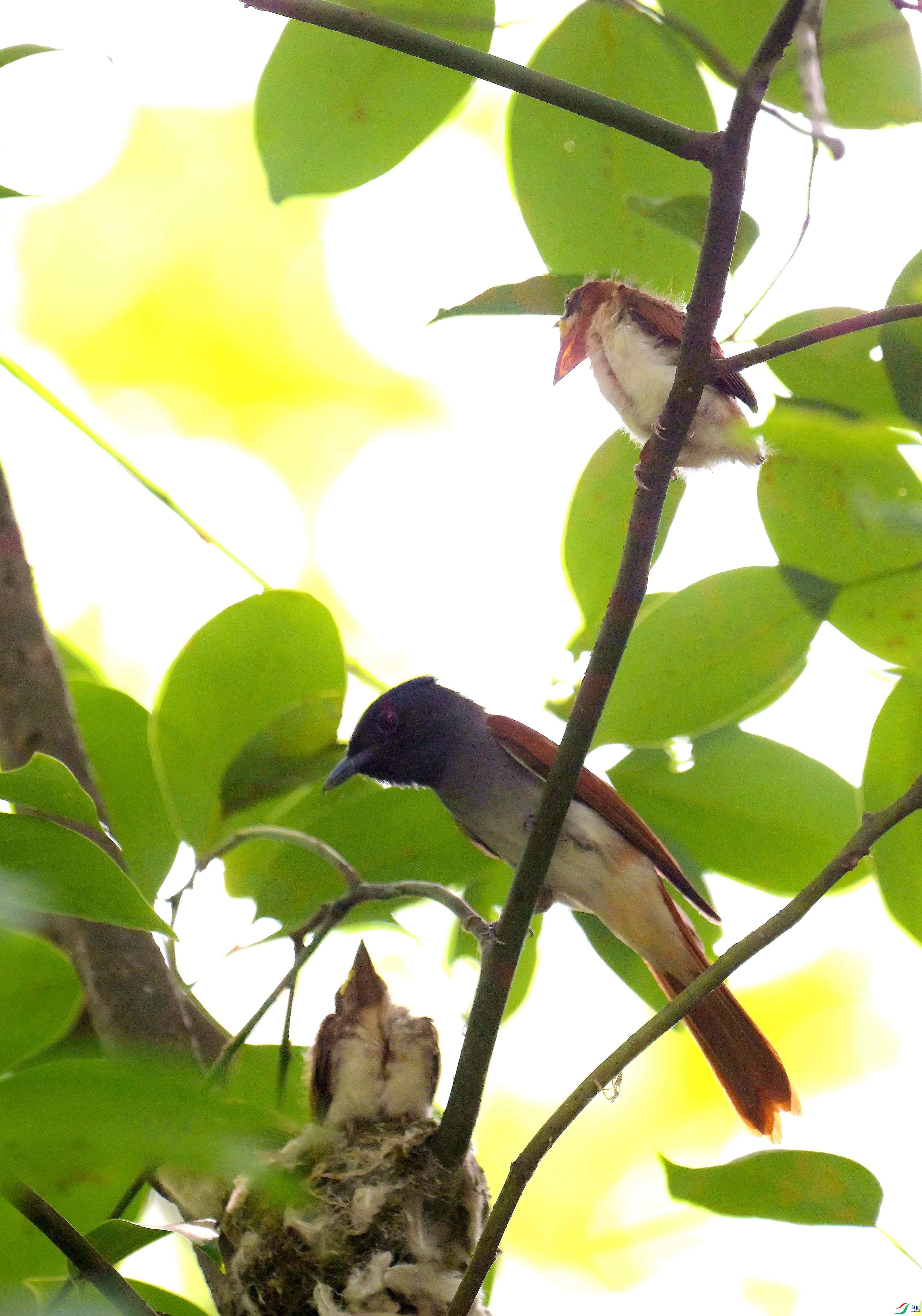 DSC_1503.jpg