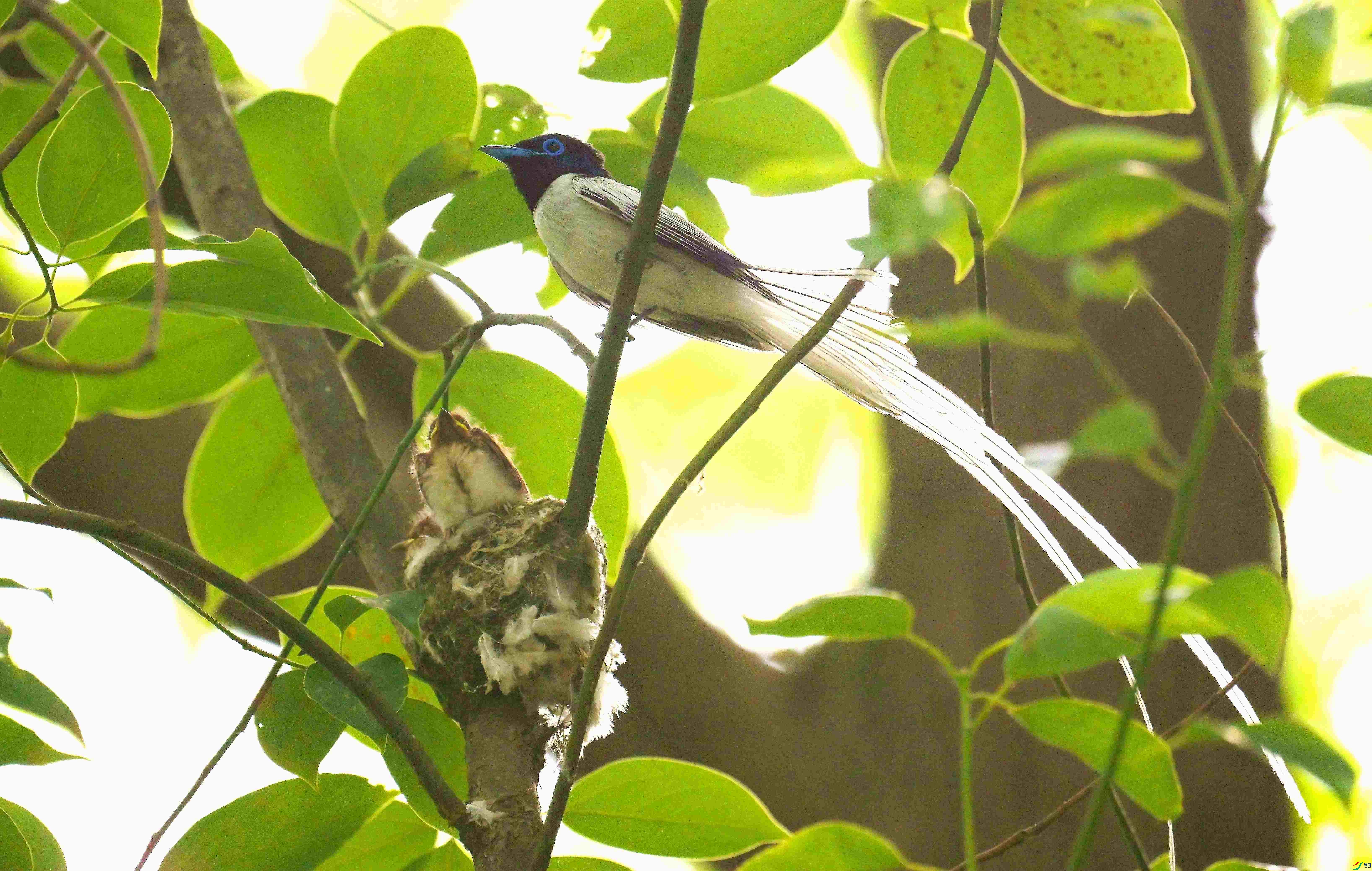 DSC_2083.jpg
