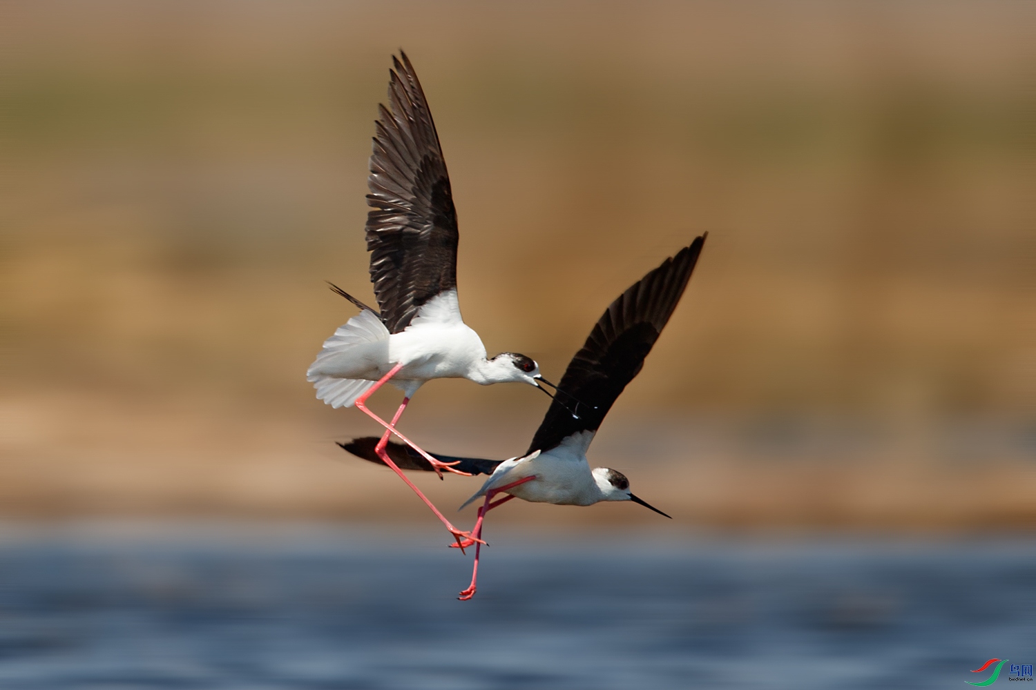 AQ9I7563 ����.jpg