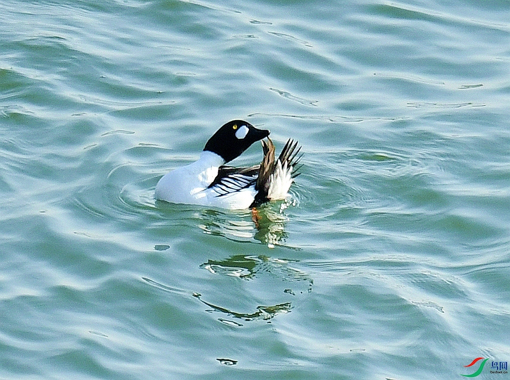 DSC_4623.jpg