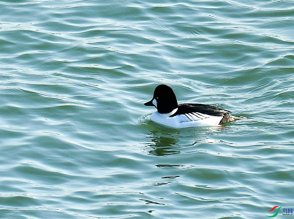 DSC_4622.jpg