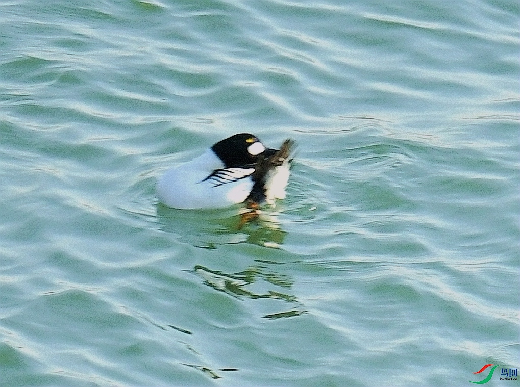 DSC_4624.jpg