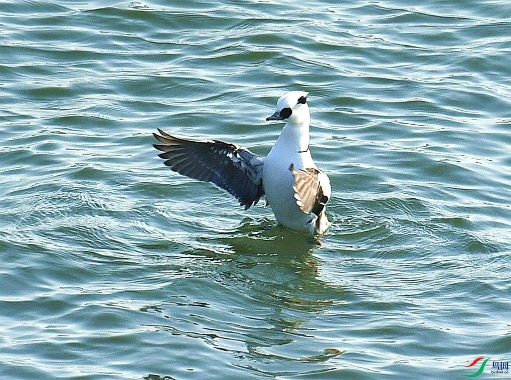 DSC_4807.jpg