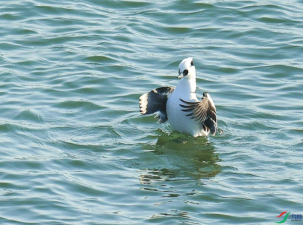 DSC_4804.jpg