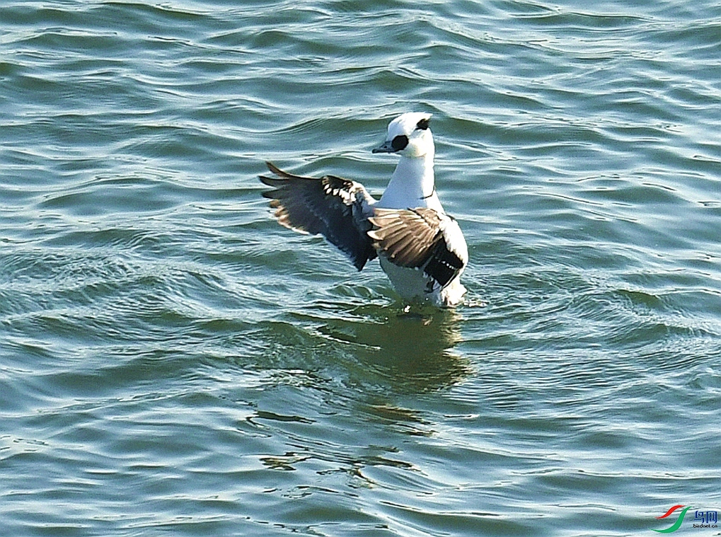 DSC_4808.jpg