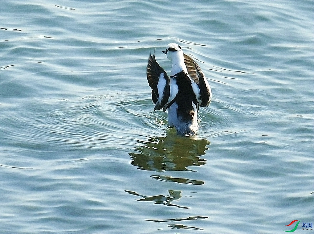 DSC_4643.jpg