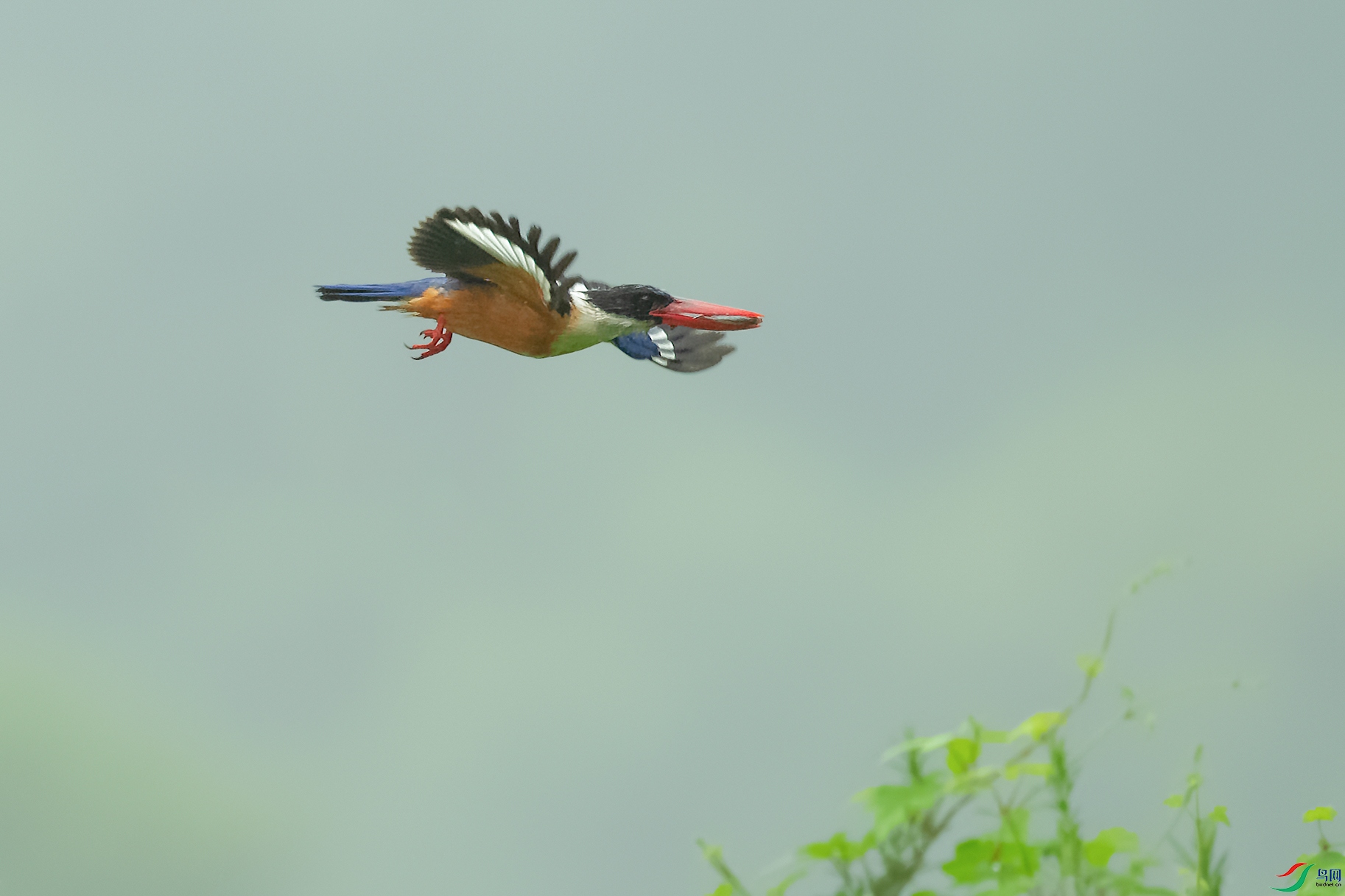 5DSC_4677_DxOa.jpg