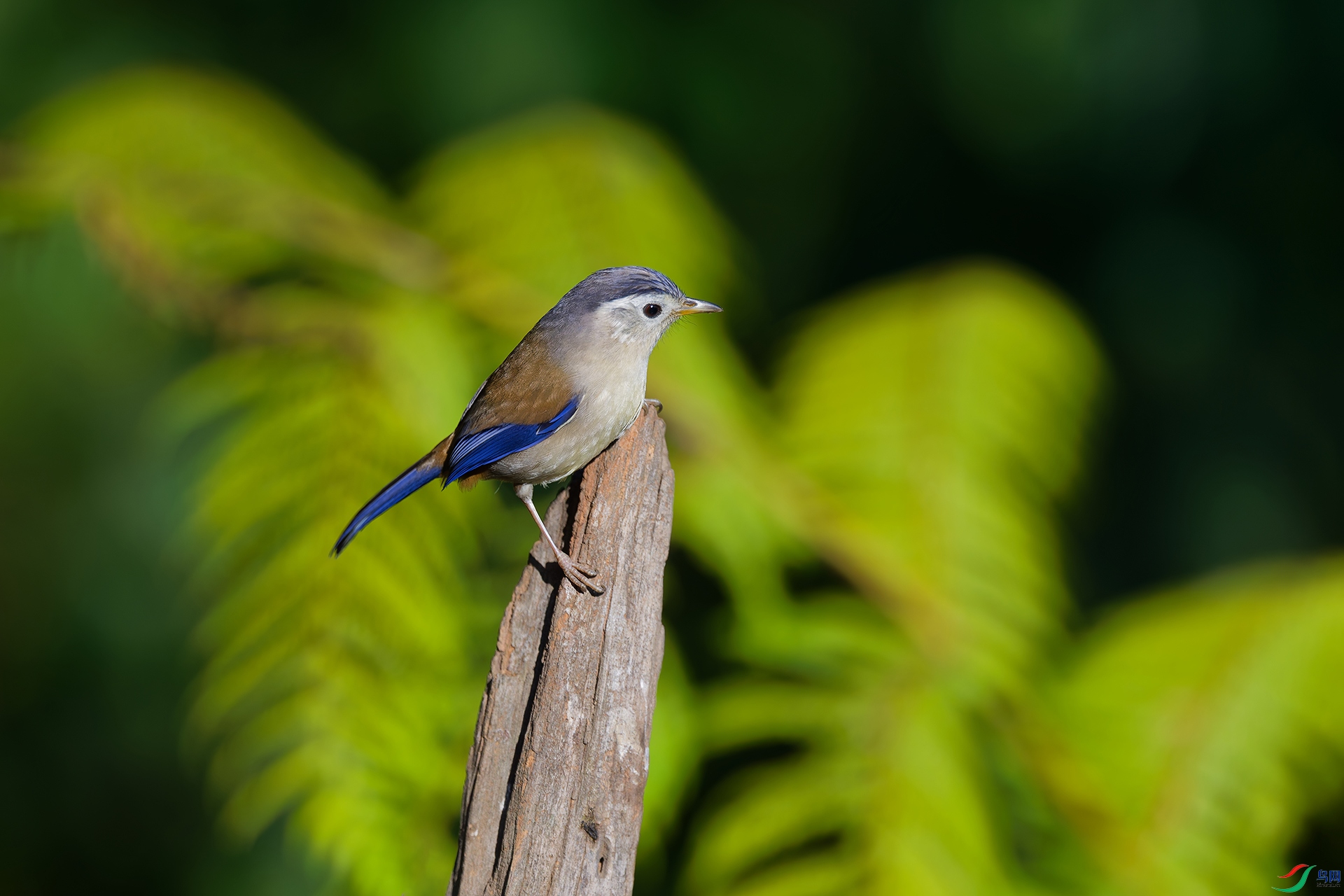 1DSC_7587_DxO_DxOa.jpg