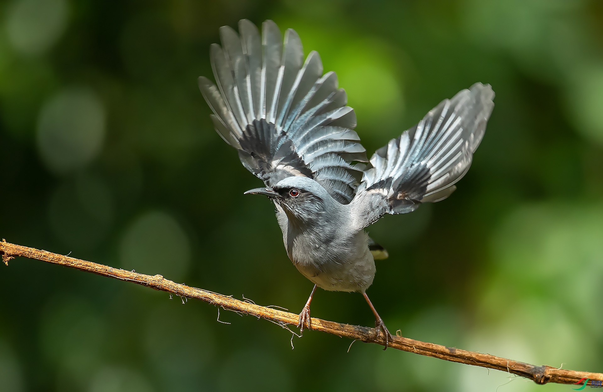 DSC_2359.jpg