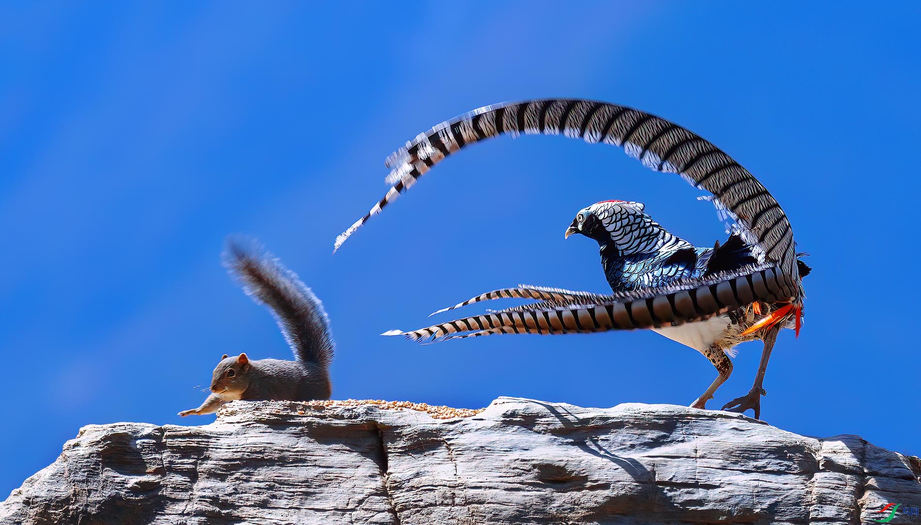 β��������