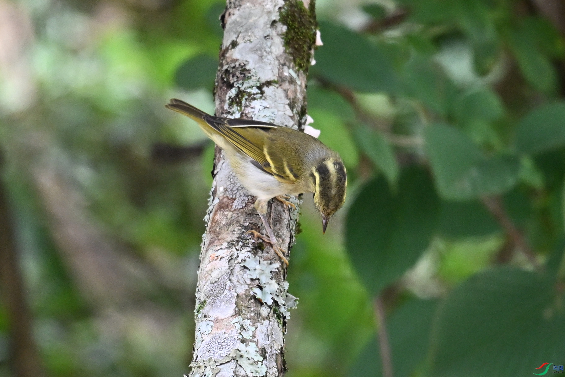 DSC_3112.JPG