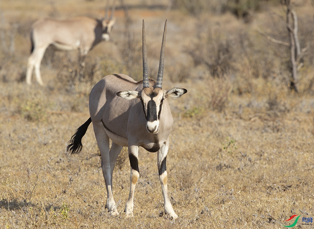 �����硿���� .jpg