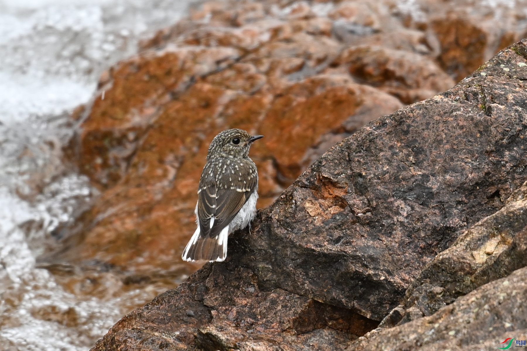 DSC_3268.JPG