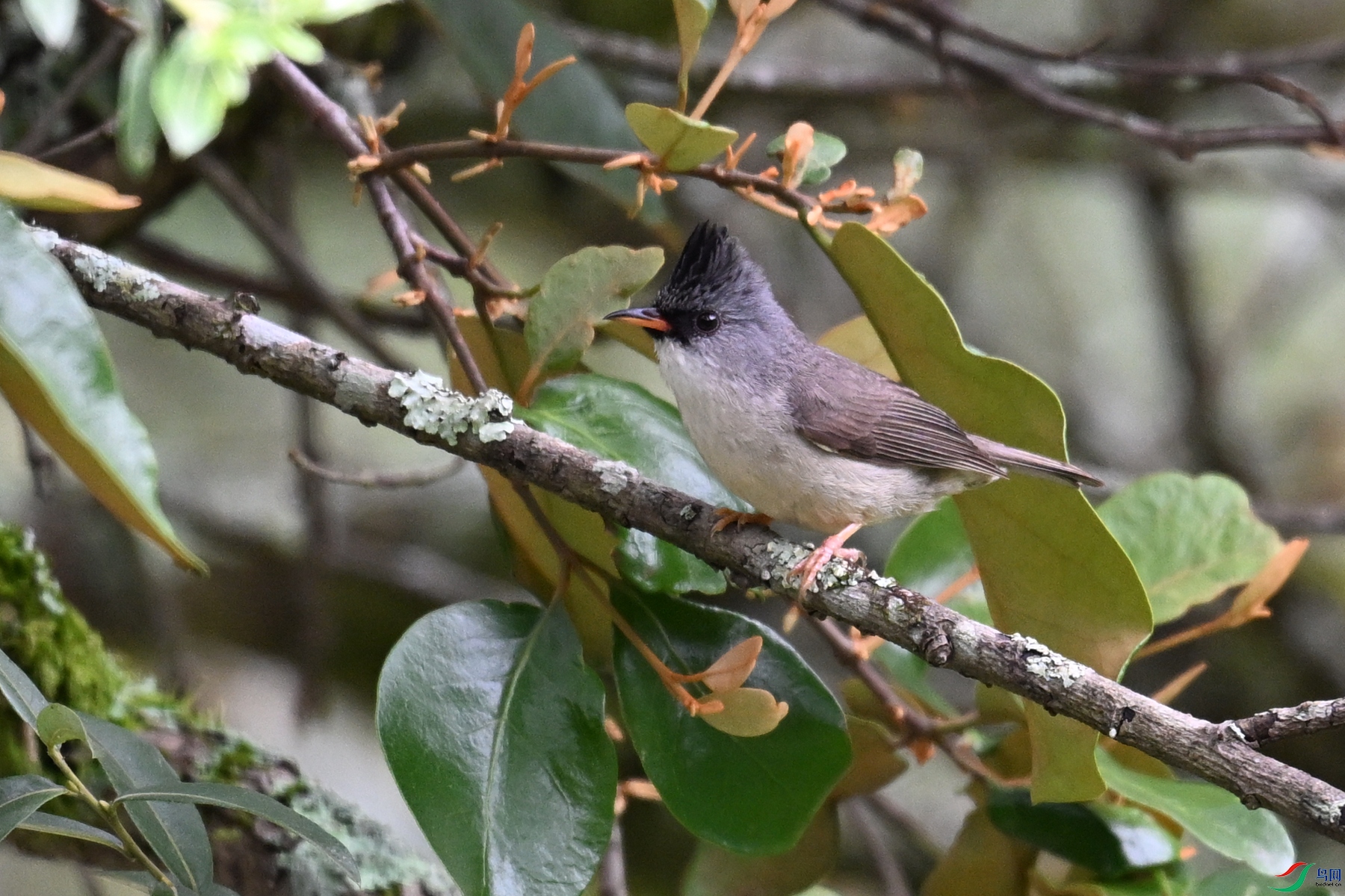 DSC_3284.JPG