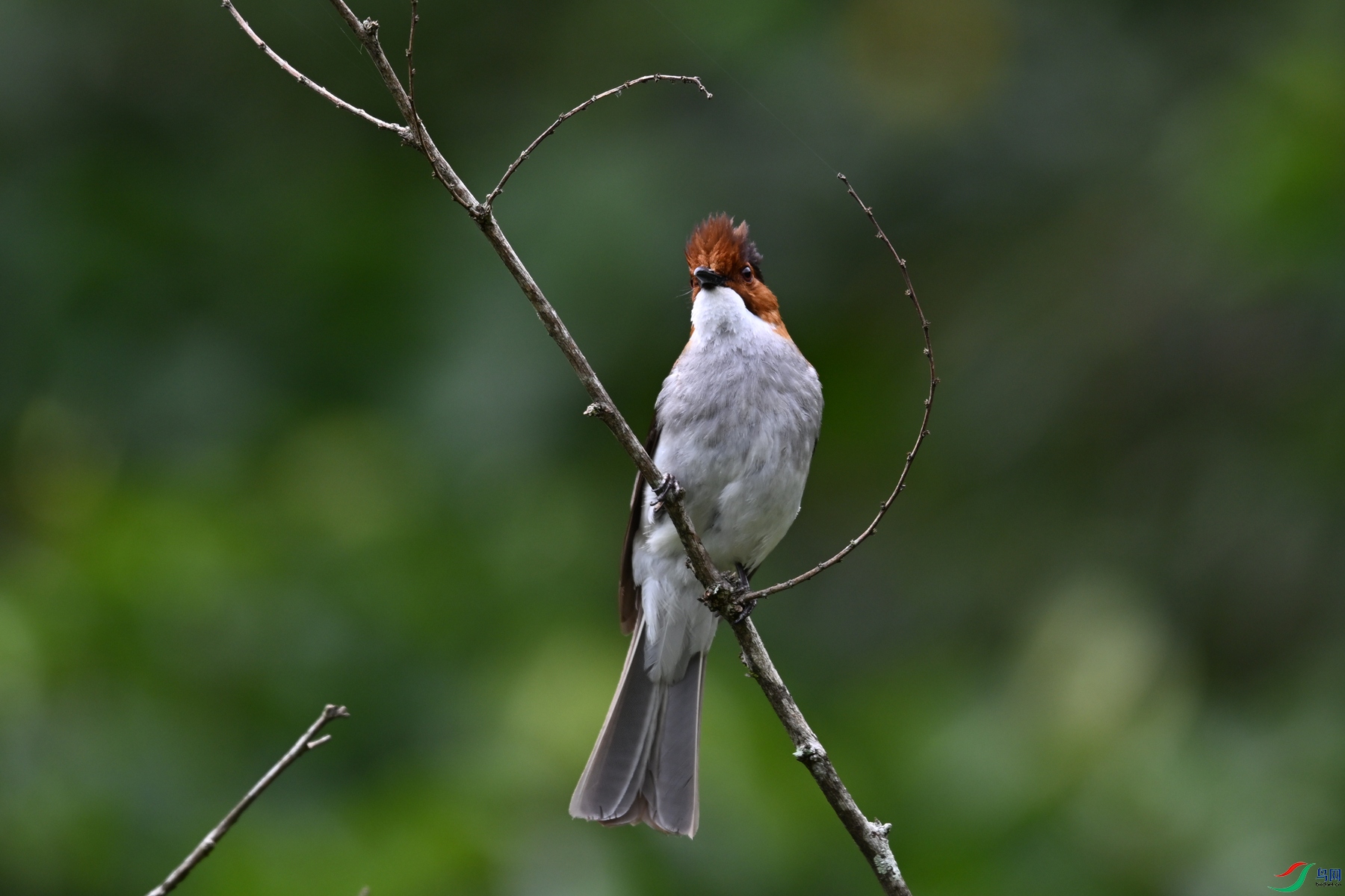 DSC_3311.JPG
