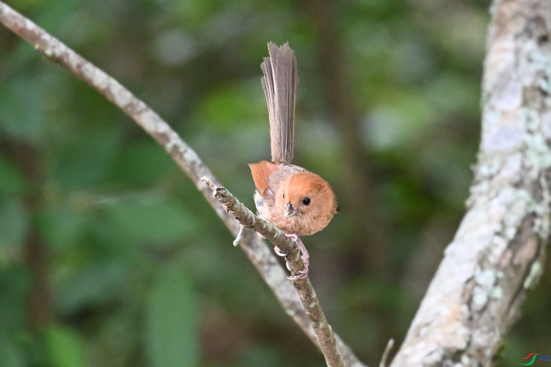 DSC_3231.JPG