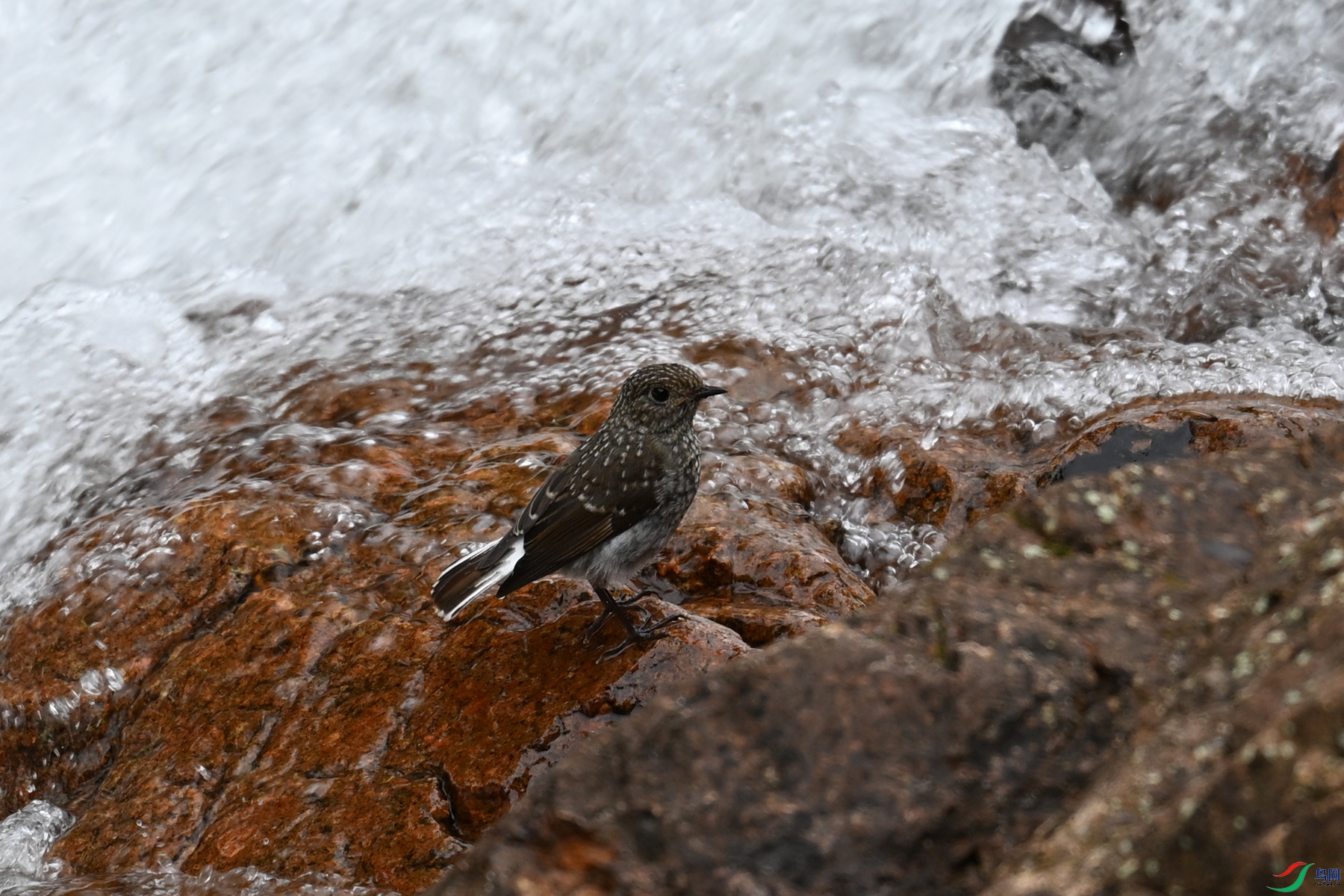 DSC_3272.JPG