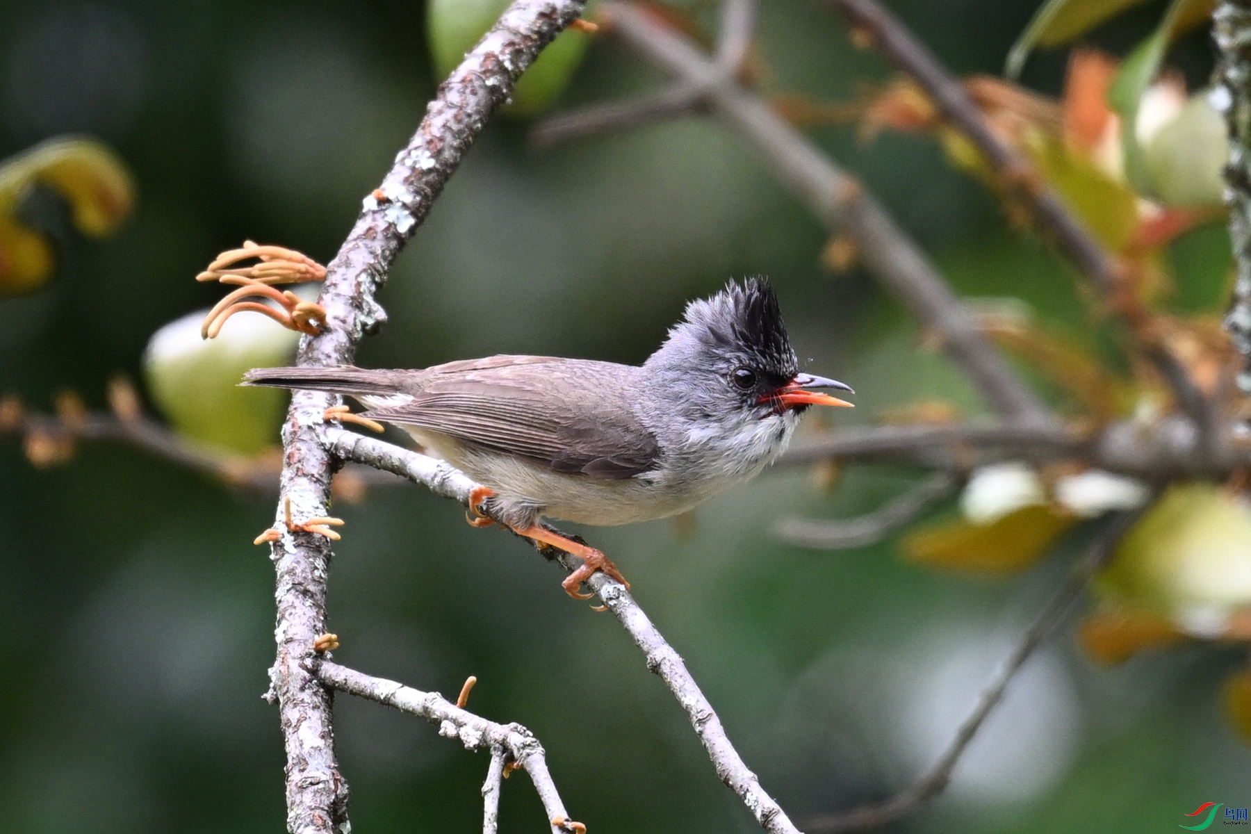 DSC_3288.JPG