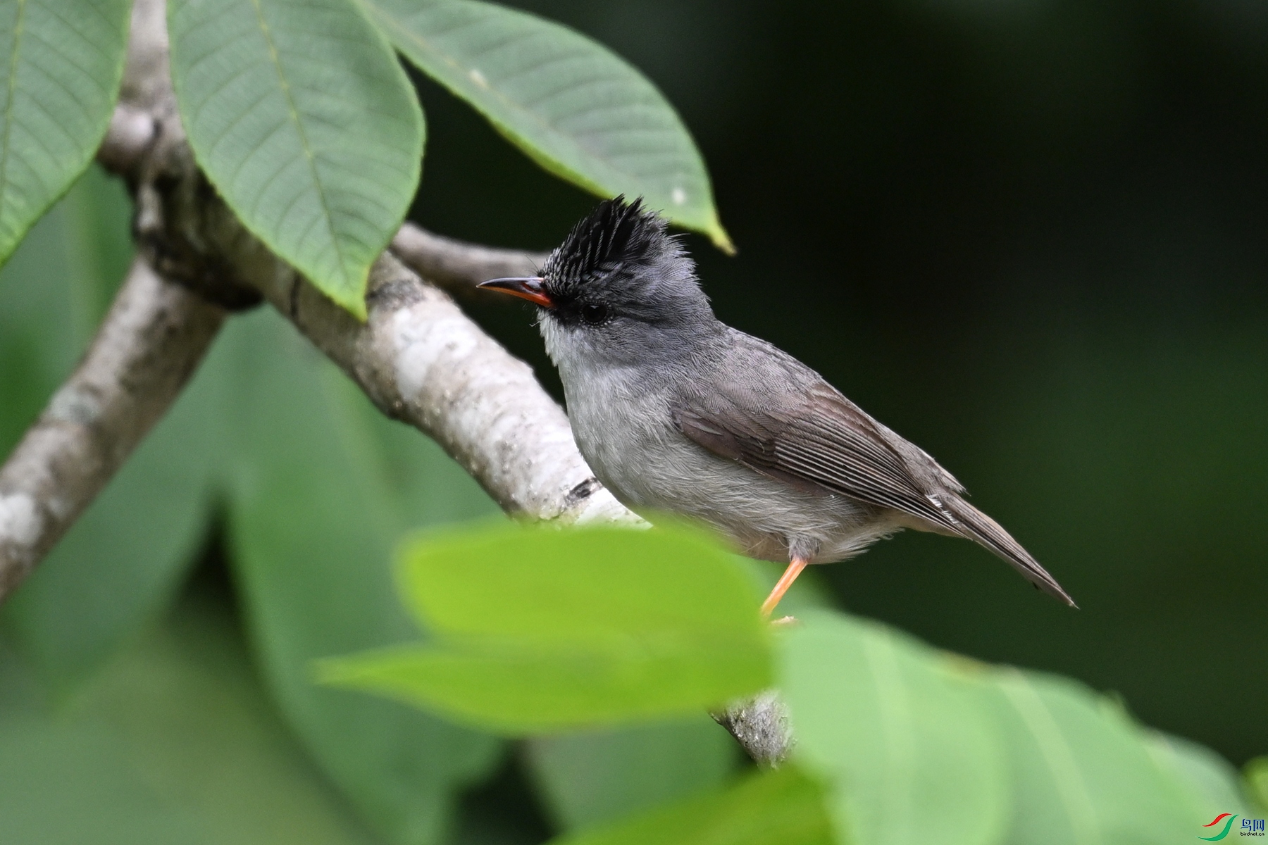 DSC_3303.JPG