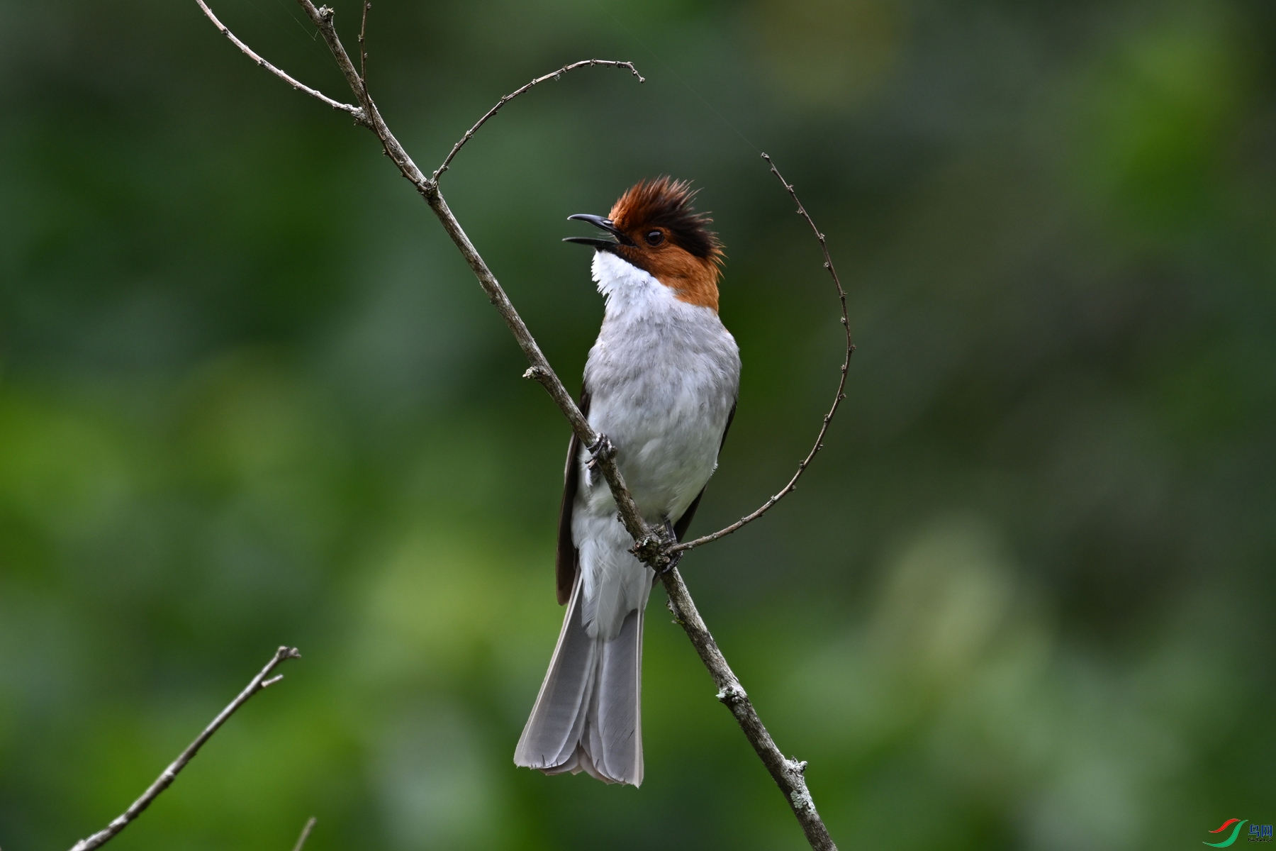 DSC_3318.JPG