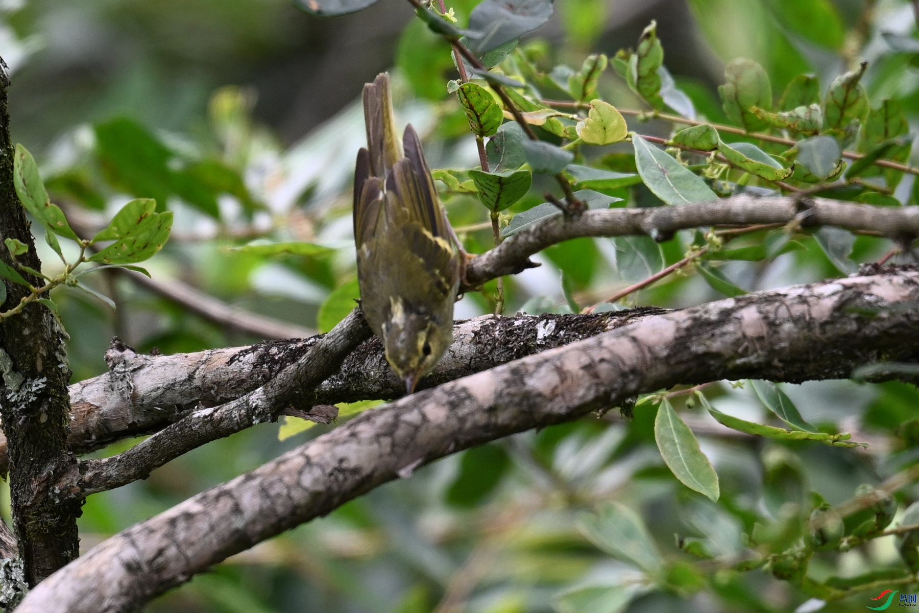 DSC_3322.JPG