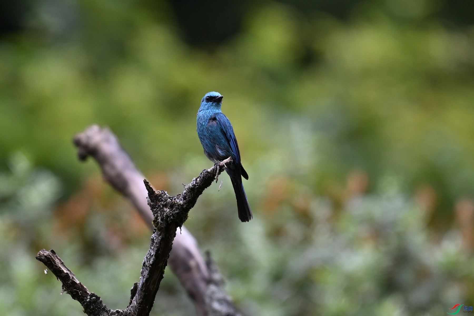 DSC_3257.JPG
