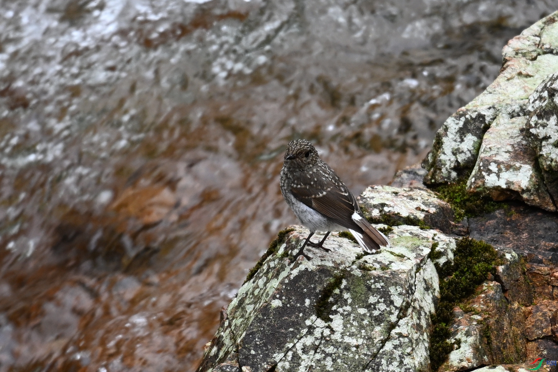 DSC_3275.JPG