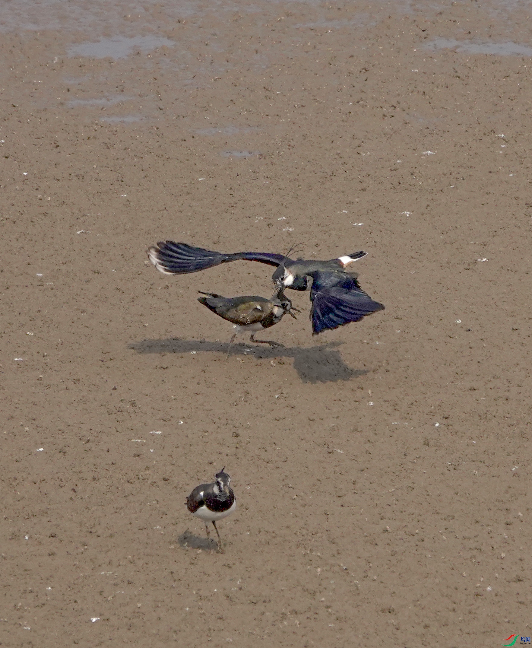 DSC01351.JPG