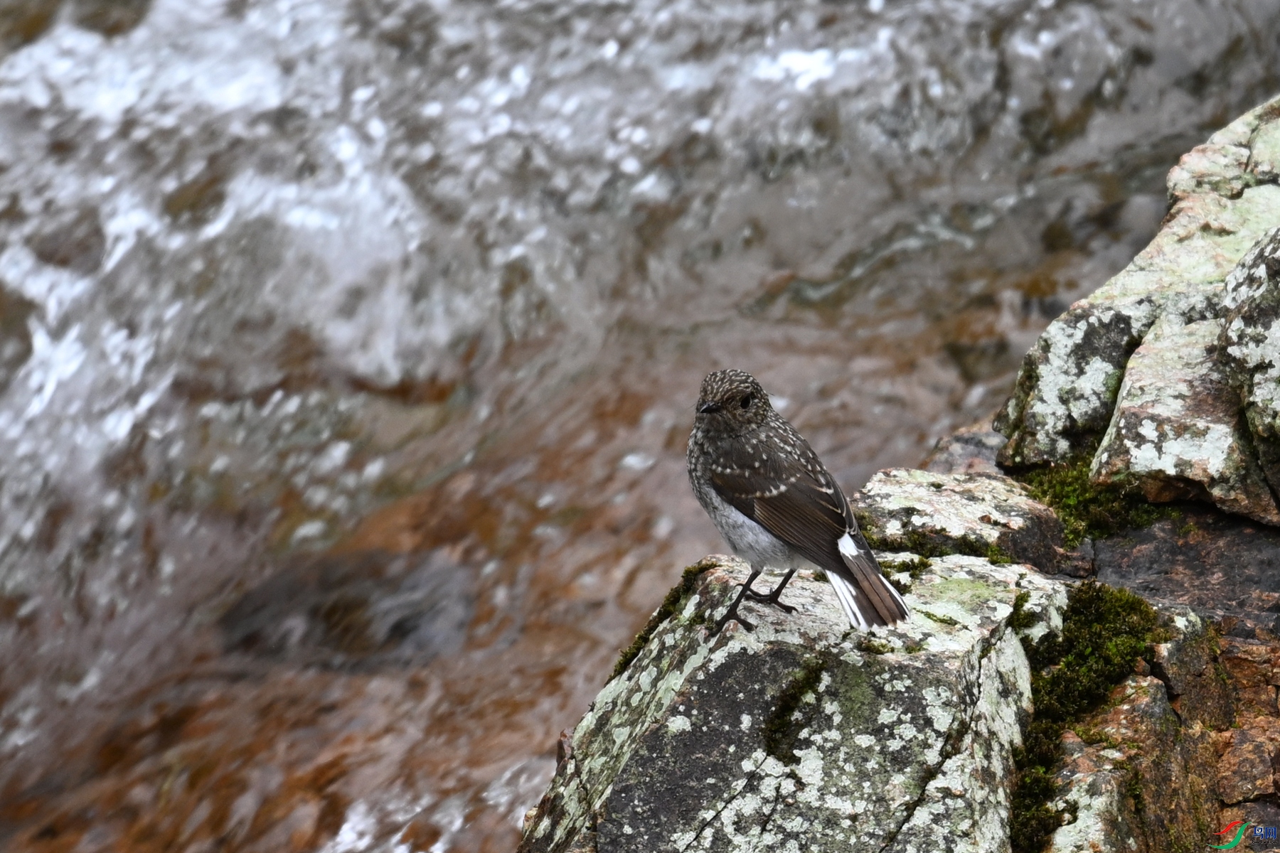 DSC_3277.JPG