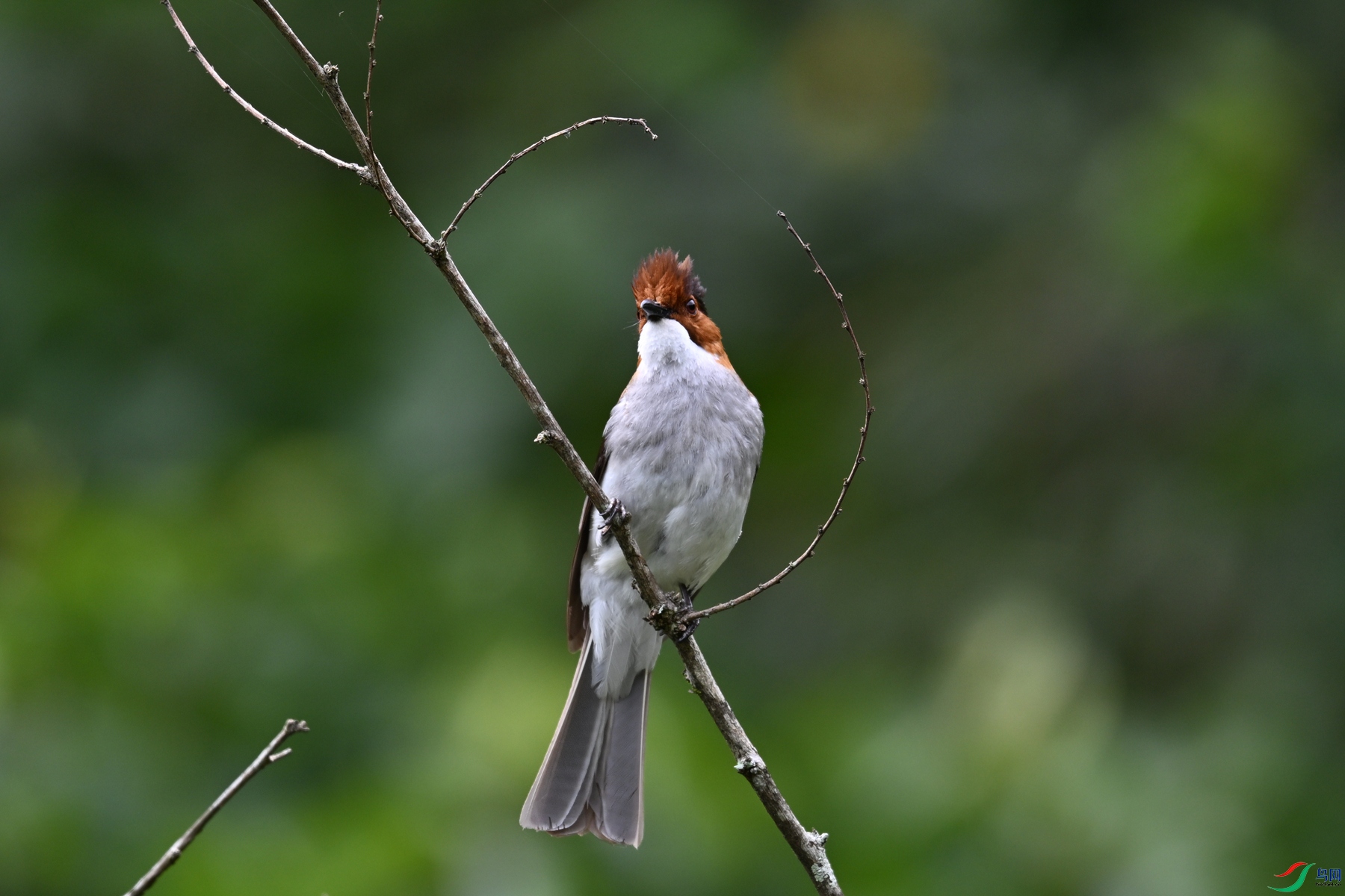 DSC_3313.JPG