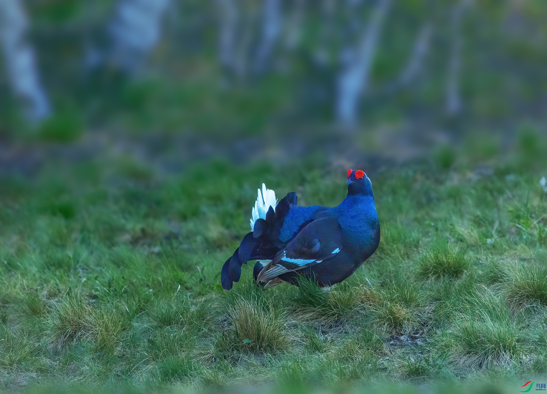 DSC_8823 -1.jpg
