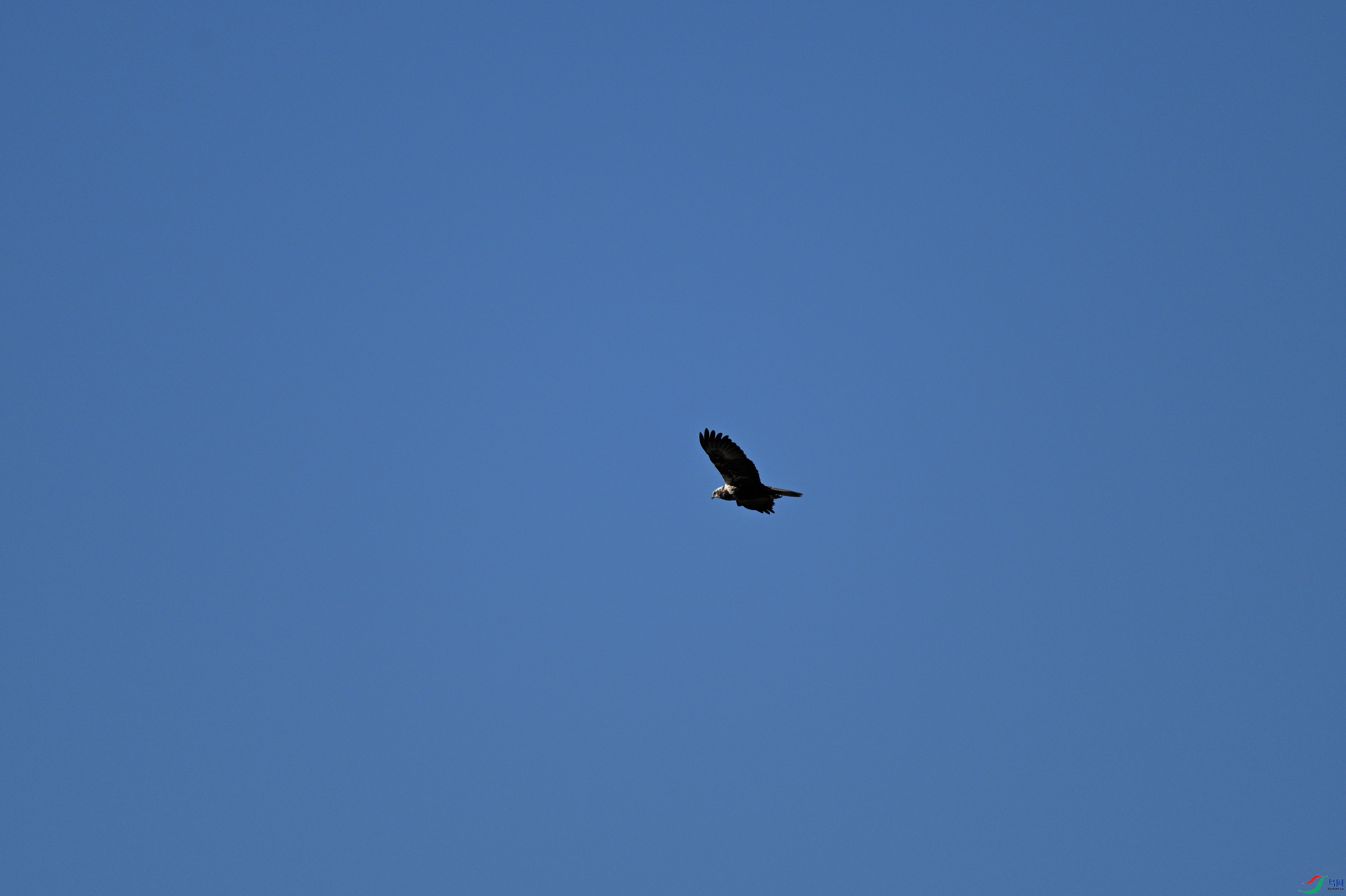 DSC_5401_����.jpg