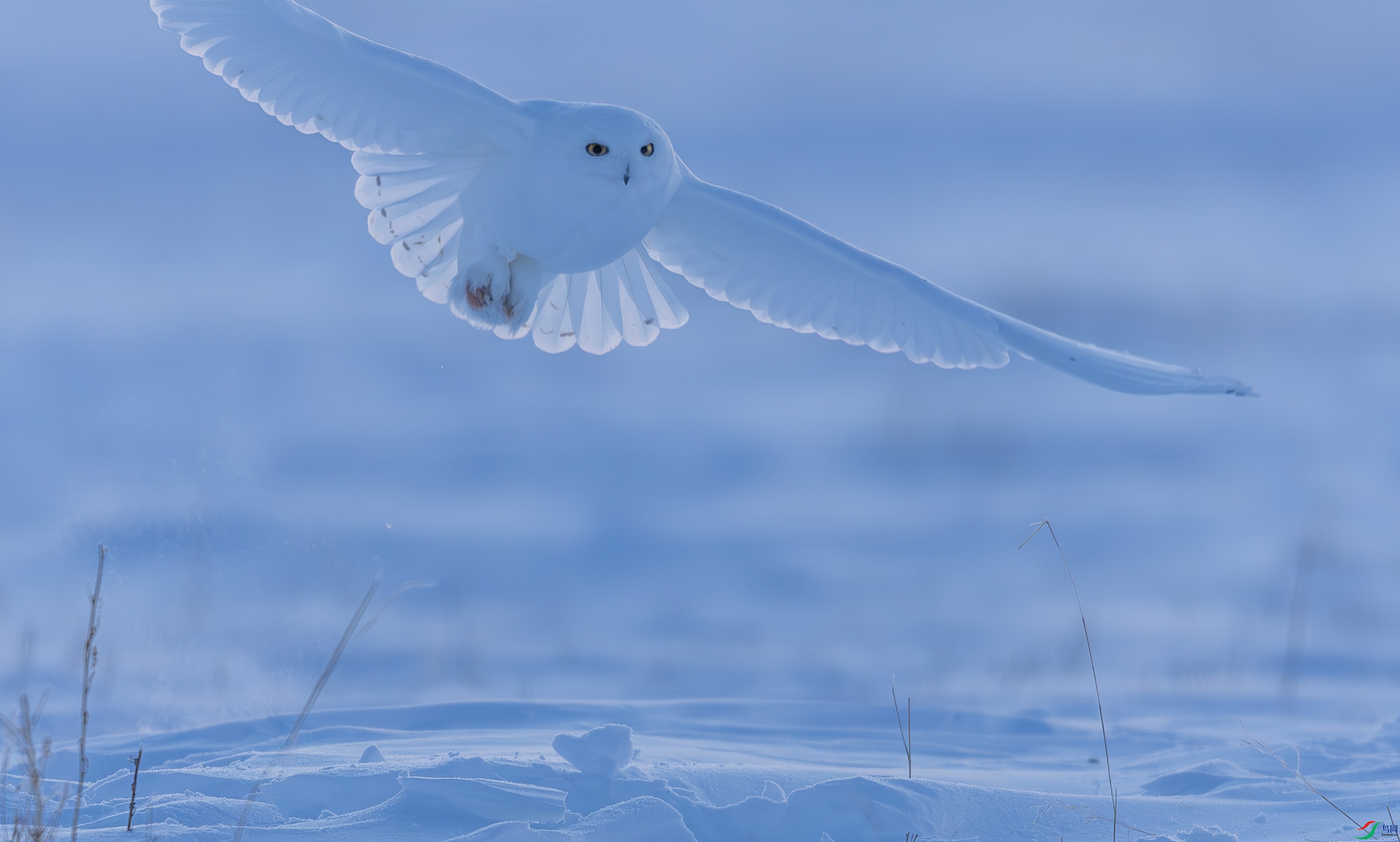 _72A3825-����ǿ-NR.JPG