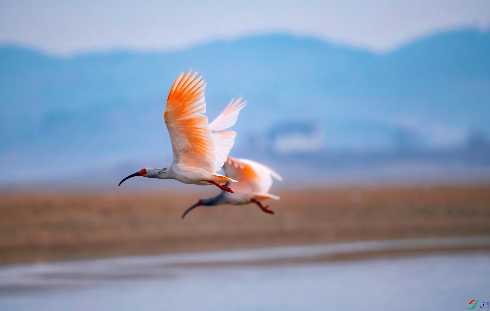 _DSC8940-01.jpeg