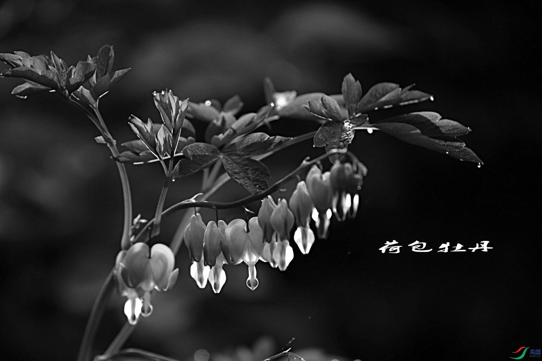BG3A3635_����_����_����1.JPG
