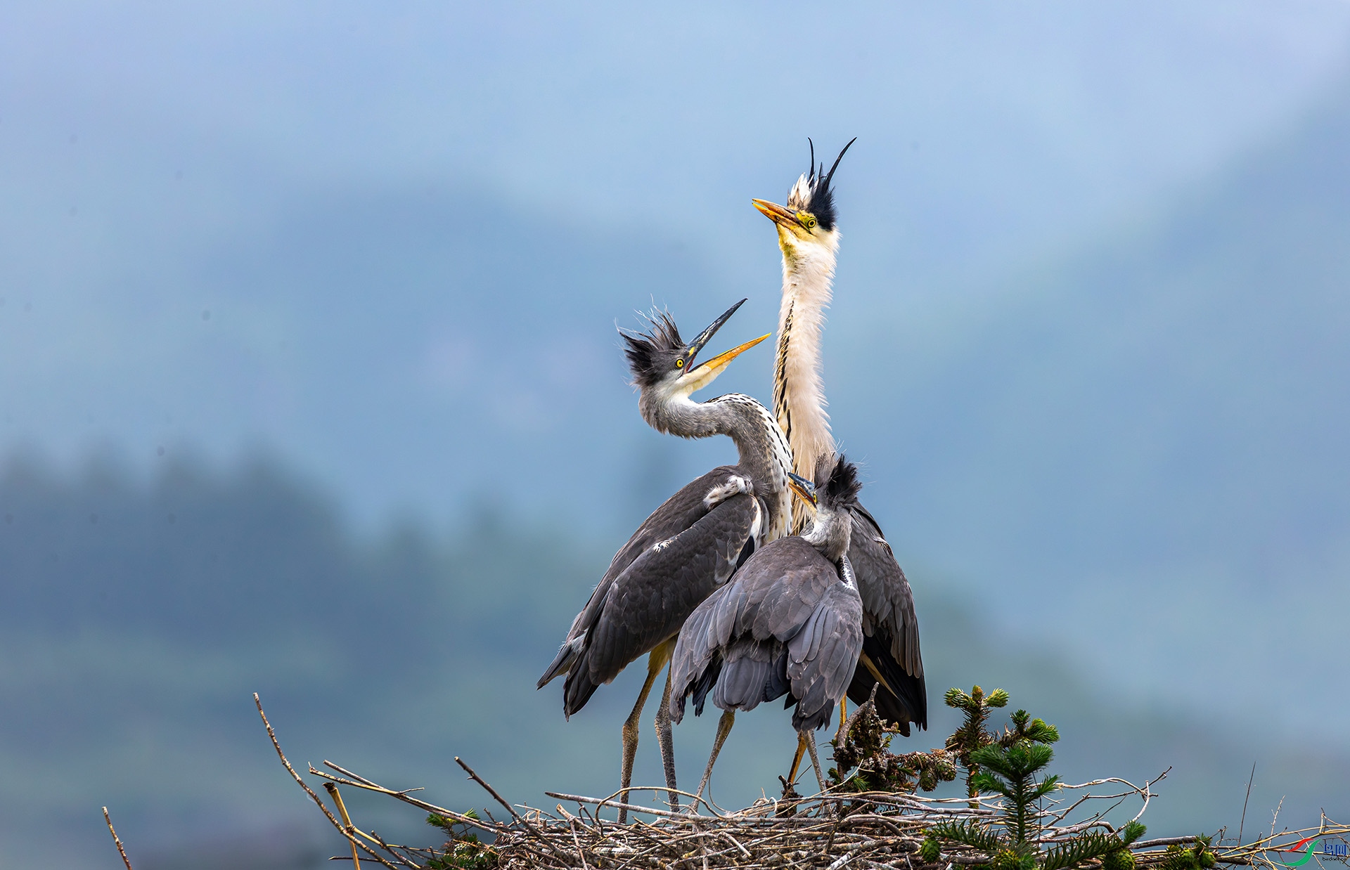 8274 ����.jpg