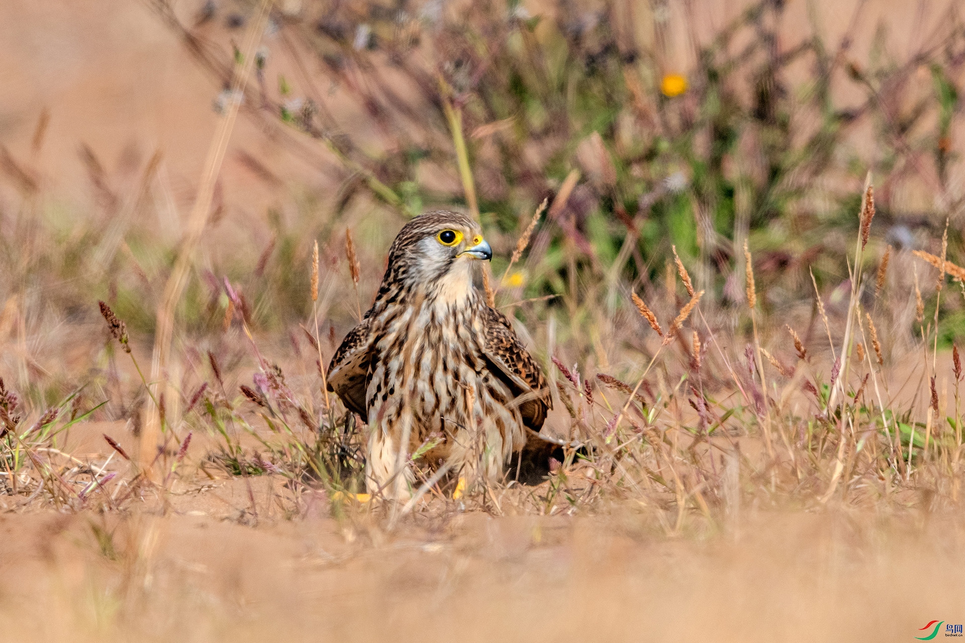 _AUU6693 ����(26.2.1).jpg