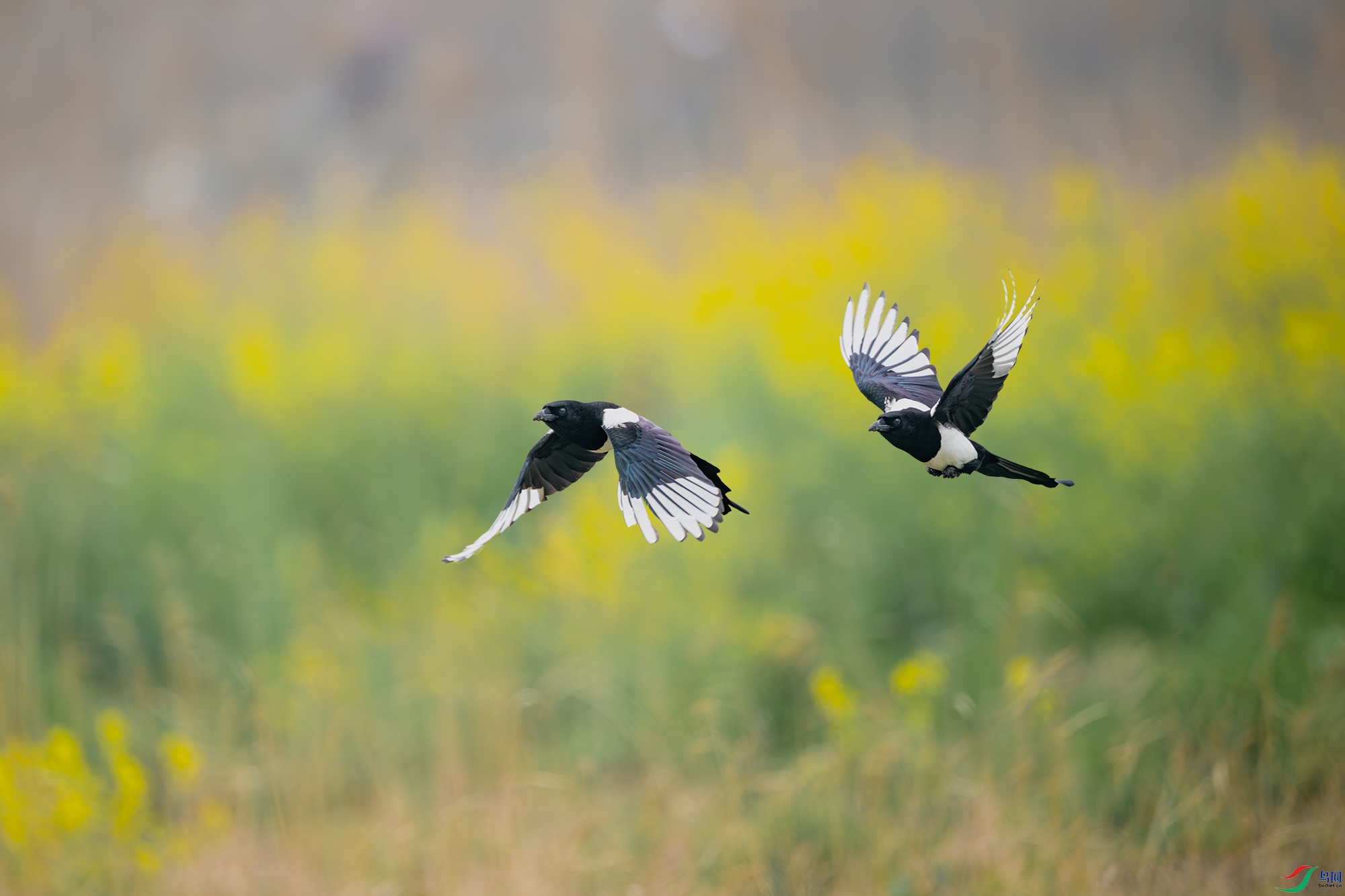 _DSC7311 ����С.jpg